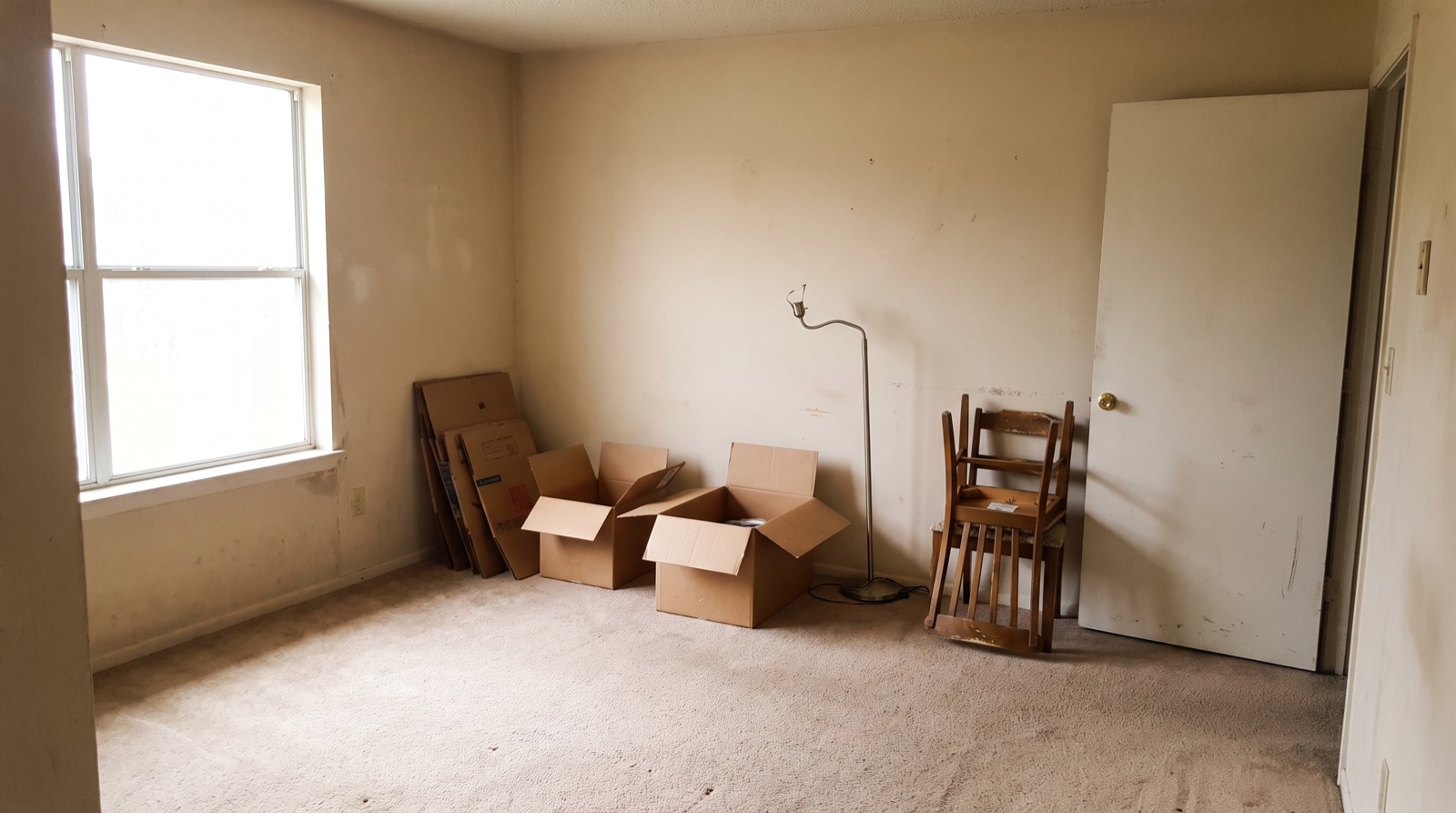 Apartment and Move-Out Cleanout