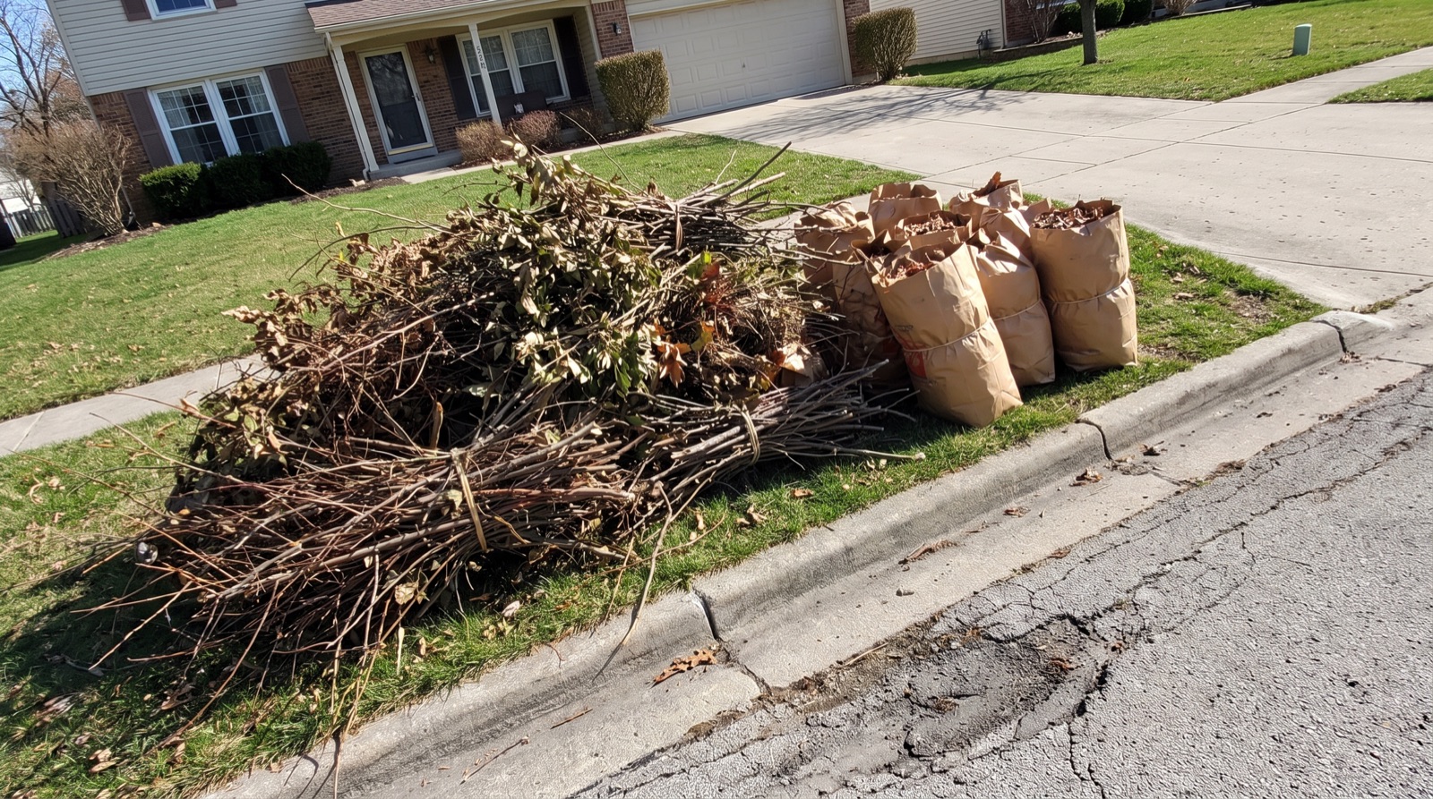 Yard Debris Removal